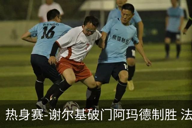 热身赛-谢尔基破门阿玛德制胜 法国1-2遭科特迪瓦逆转